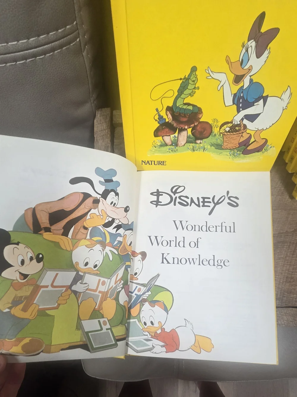 Vintage Disney's Wonderful World of Knowledge Hardcover Book Set – Lot of 18